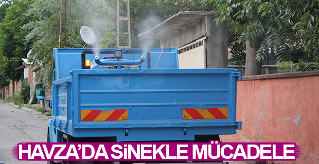 Havza'da sinekle mücadele