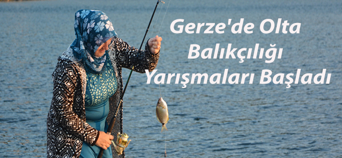 Gerze'de Olta Balıkçılığı Yarışmaları Başladı