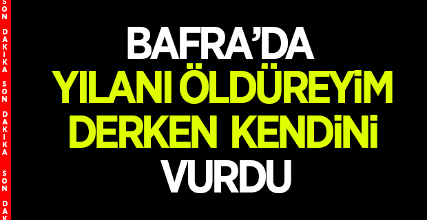 Bafra'da Yılanı Öldüreyim  Derken Kendini Vurdu