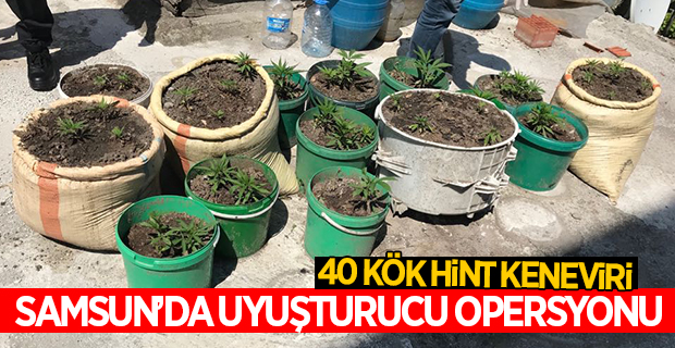 Samsun'da Uyuşturucu Operasyonu