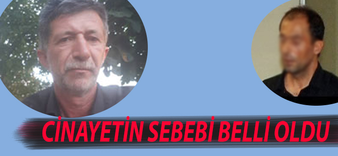 Cinayet nedeni Kiraymış