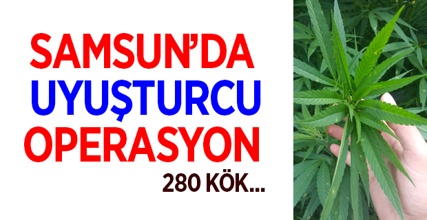 Samsun'da Uyuşturucu Operasyonu