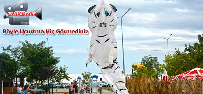 Böyle Uçurtma Hiç Görmediniz