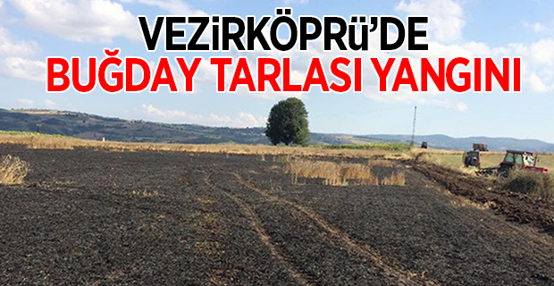 Vezirköprü'de Buğday Tarlası Yandı