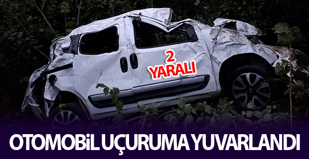 Ordu'da otomobil uçuruma yuvarlandı: 2 yaralı