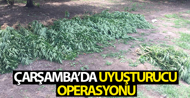 Çarşamba'da Uyuşturucu Operasyonu