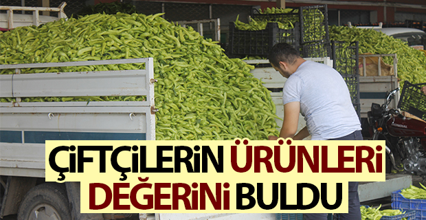 Çiftçilerin Ürünleri Değerini Buldu