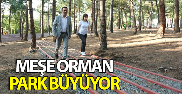 Meşe Orman Park büyüyor