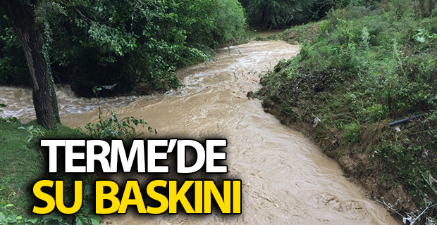 Terme'de Bazı Tarım Alanlarını Su Bastı