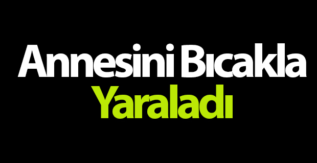 Tartıştığı annesini bıçakla yaraladı