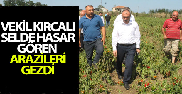 Vekil Kırcalı Selde Hasar Gören Arazileri Gezdi.