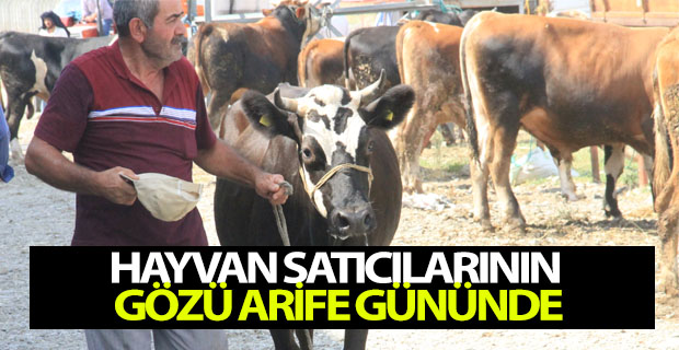 Hayvan Satıcılarının Gözü Arife Gününde