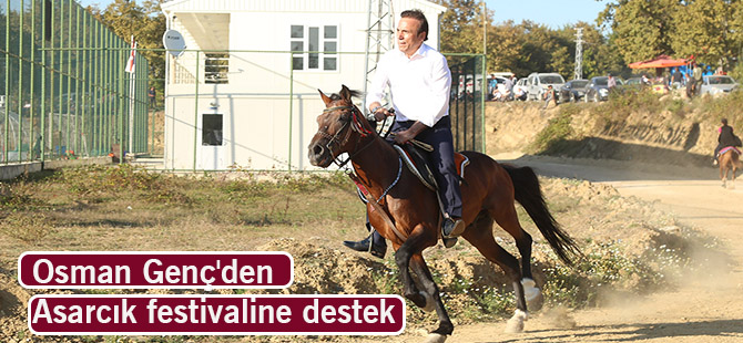 Genç'ten Asarcık festivaline destek