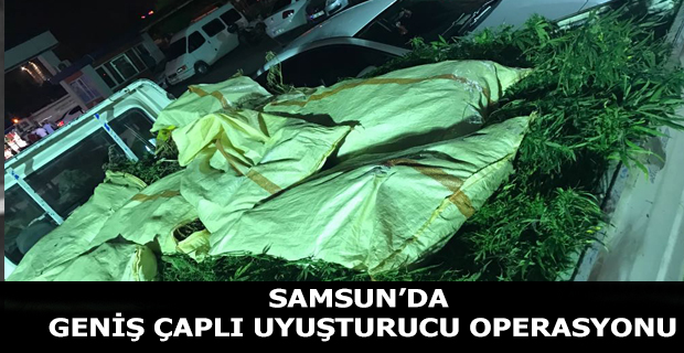 Samsun'da uyuşturucu operasyonu