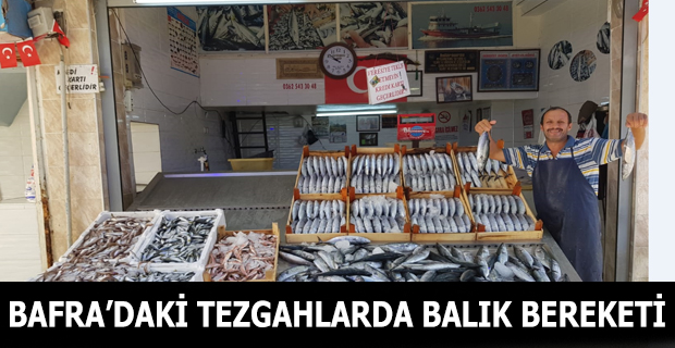 Bafra'daki  Tezgahlarda Balık Bereketi