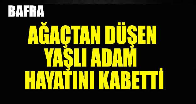 Bafra'da Ağaçtan Düşen Yaşlı Adam Öldü