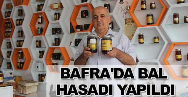 Bafra'da Bal Hasadı Yapıldı