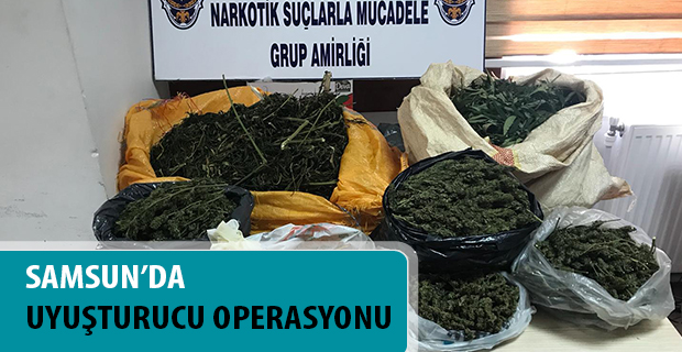 Samsun'da uyuşturucu operasyonu