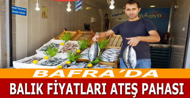 Bafra'da Balık Fiyatları Ateş Pahası