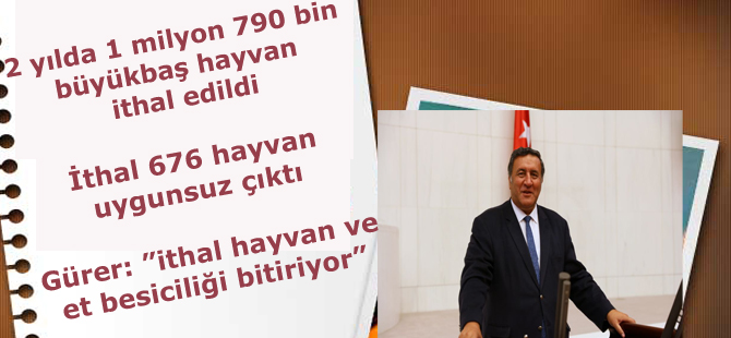 İTHAL HAYVAN VE ET BESİCİLİĞİ BİTİRİYOR..