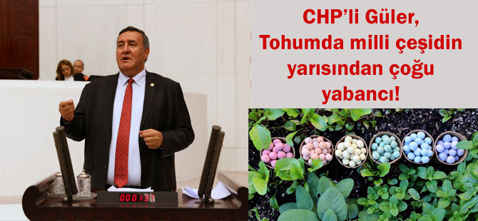 Tohumda milli çeşidin yarısından çoğu yabancı!