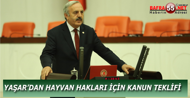 Hayvanlar, “mal” ya da “eşya” değildir!