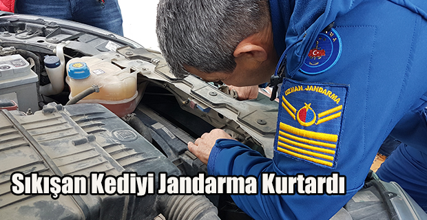 Sıkışan Kediyi Jandarma Kurtardı