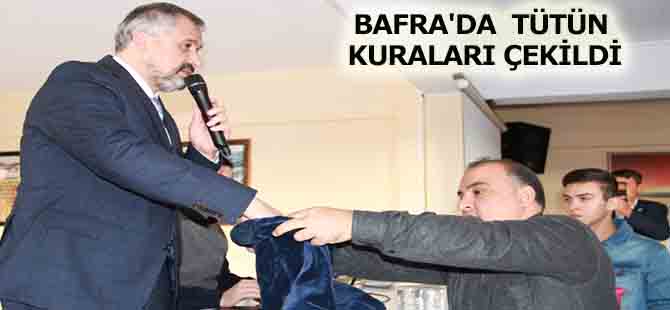 BAFRA'DA  TÜTÜN KURALARI ÇEKİLDİ