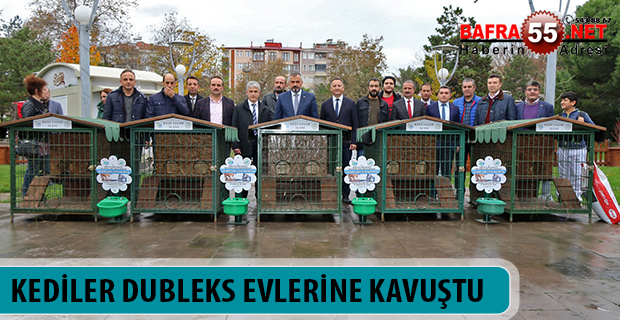 KEDİLER DUBLEKS EVLERİNE KAVUŞTU