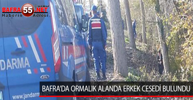 BAFRA’DA ORMALIK ALANDA ERKEK CESEDİ BULUNDU