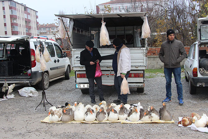 Kış Aylarının Vazgeçilmezi Tirit