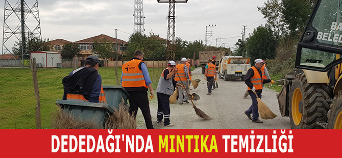 DEDEDAĞI'NDA MINTIKA TEMİZLİĞİ