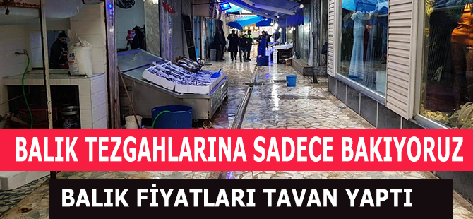 BALIK FİYATLARI UÇTU