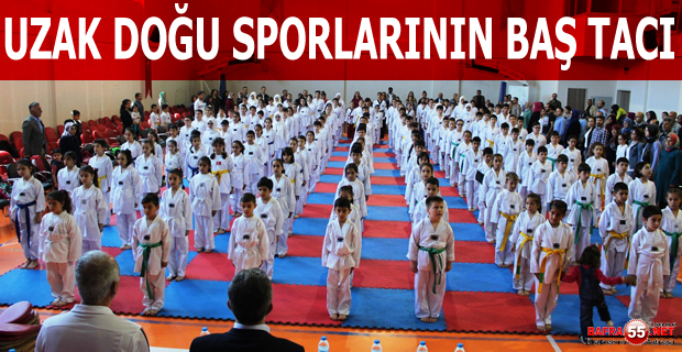 UZAK DOĞU SPORLARININ BAŞ TACI: TAEKWON-DO