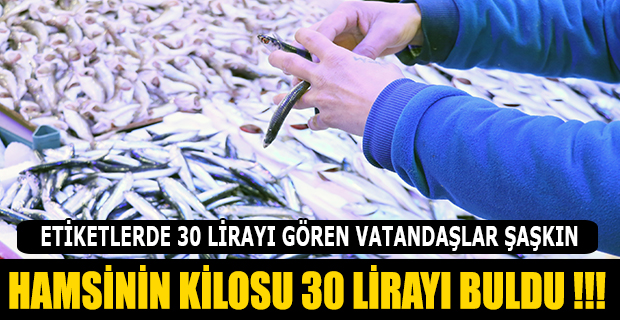 HAMSİNİN KİLOSU 30 LİRAYI BULDU !!!