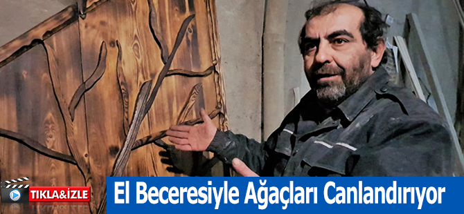 El Beceresiyle Ağaçları Canlandırıyor