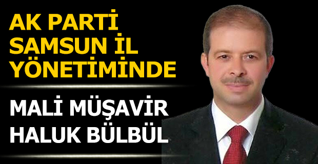 HALUK BÜLBÜL, AK PARTİ SAMSUN İL YÖNETİMİNDE