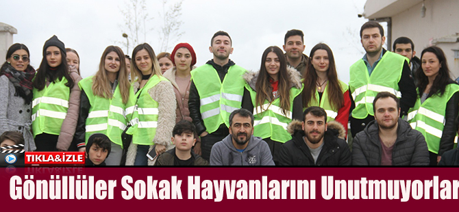 Gönüllüler Sokak Hayvanlarını Unutmuyorlar