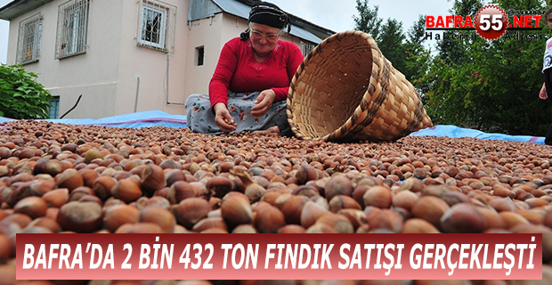 BAFRA’DA 2 BİN 432 TON FINDIK SATIŞI GERÇEKLEŞTİ