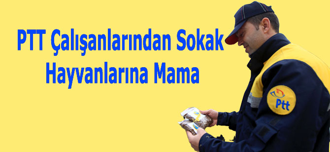 PTT Çalışanlarından Sokak Hayvanlarına Mama