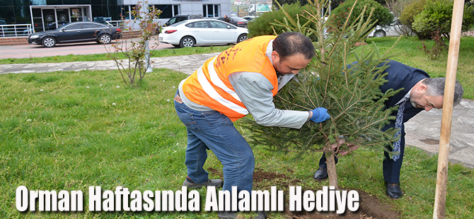 Orman Haftasında Anlamlı Hediye