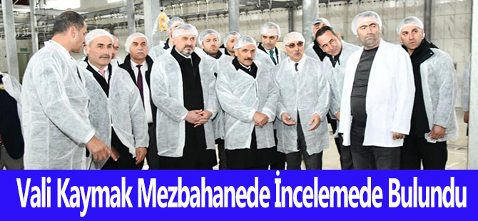 Vali Kaymak Mezbahanede İncelemede Bulundu