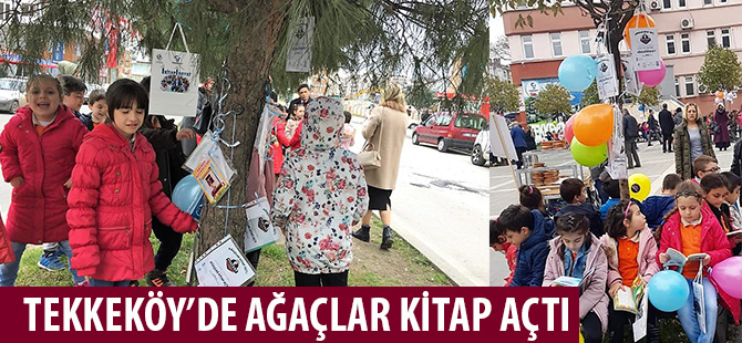 TEKKEKÖY’DE AĞAÇLAR KİTAP AÇTI