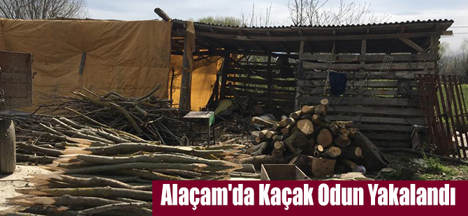 Alaçam'da Kaçak Odun Yakalandı