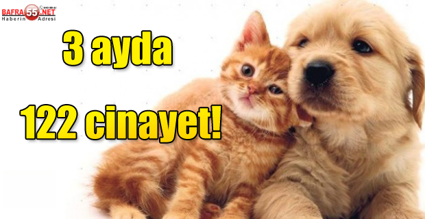 3 ayda 122 cinayet!