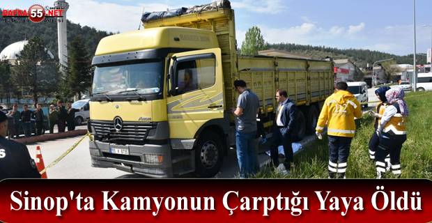 Sinop'ta Kamyonun Çarptığı Yaya Öldü