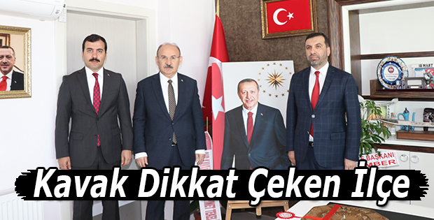 Kavak Dikkat Çeken İlçe