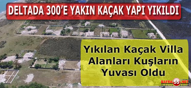 Deltada Yıkılan Kaçak Villa Alanları Kuşların Yuvası Oldu