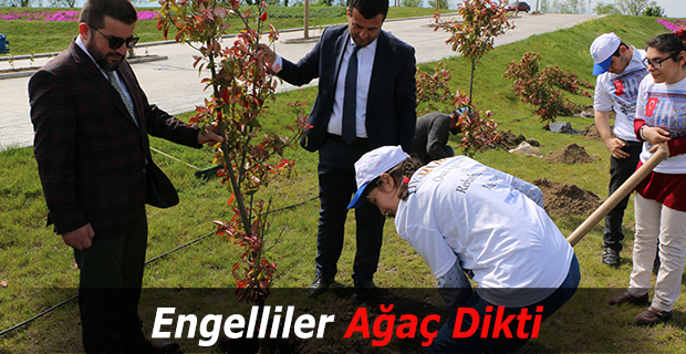 Engelliler Ağaç Dikti