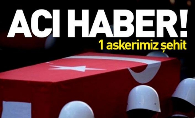 PKK'lı teröristler 1 askeri şehit etti